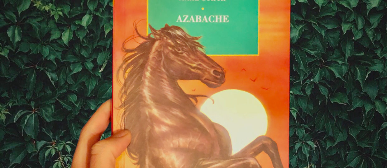 Black Beauty Book Cover