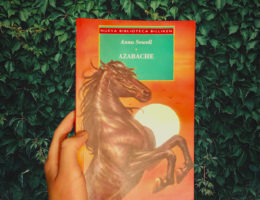 Black Beauty Book Cover
