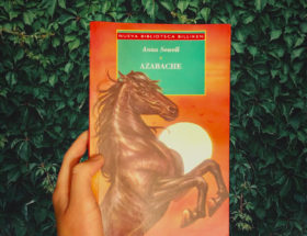 Black Beauty Book Cover