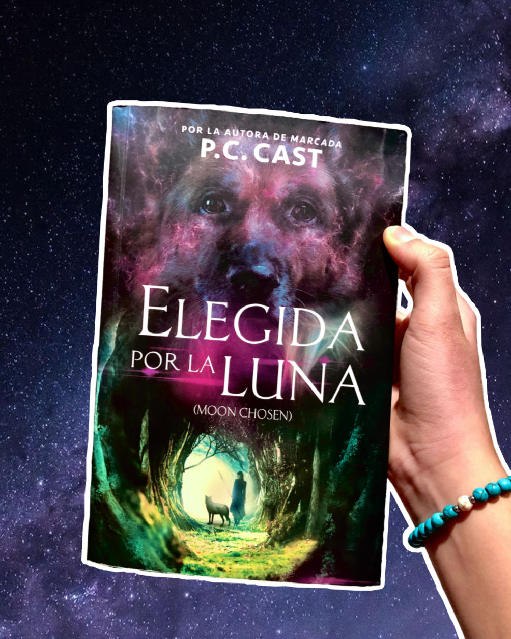 Set in a futuristic, post-apocalyptic world, Moon Chosen tells the story of Mari, the future leader of the Earth Walkers.